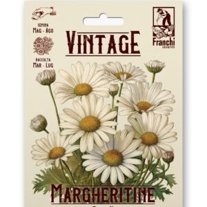 Margheritina dei Prati Vintage 1928 Flower Seeds Franchi Seeds