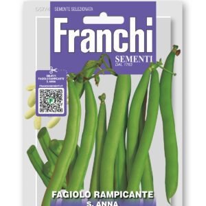 S. Anna Climbing French Bean Seeds | Early Stringless Green Pods