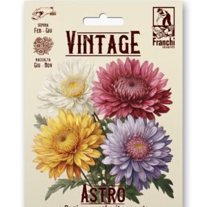Aster Princesse Multicolor Vintage 1928 Flower Seeds Franchi Seeds