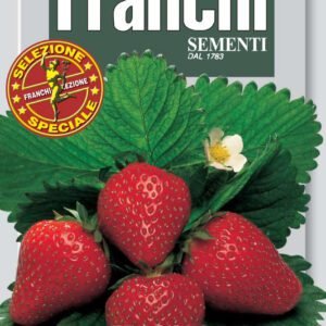 Strawberry Quattro Stagioni Seeds | Alpine 4 Seasons Variety