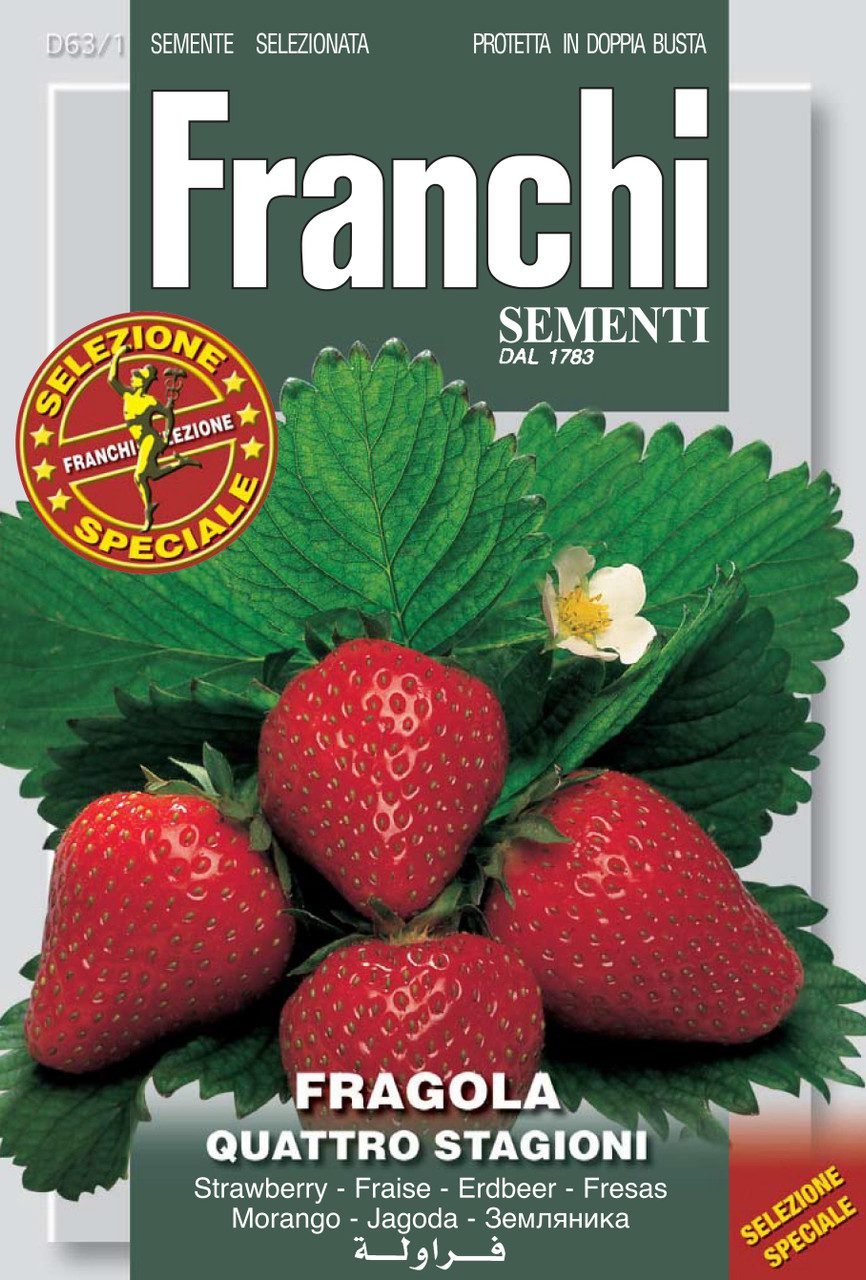 Strawberry Quattro Stagioni Seeds | Alpine 4 Seasons Variety