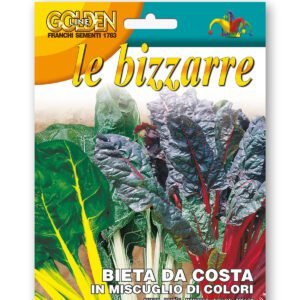 Swiss Chard Colour Mix Seeds | Vibrant Stems & Dark Green Leaves