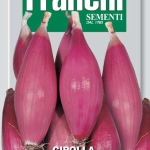 Long Red Onion Tropea Rossa Lunga Seeds | Sweet Calabrian Heritage Variety