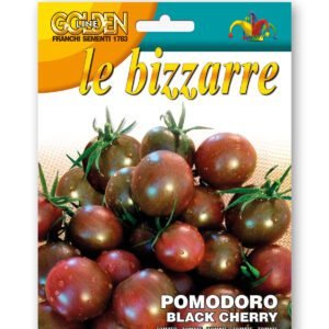 Tomato Black Cherry Seeds | Early Sweet Dark Cherry Tomato
