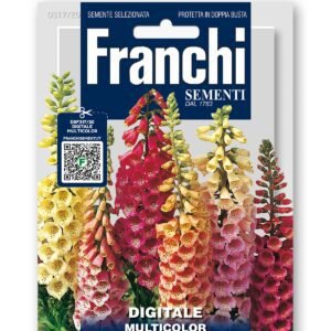 Foxglove Digitale Multicolor Seeds | Tall Biennial Spikes
