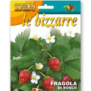 Wild Strawberry Seeds | Sweet Aromatic Woodland Variety