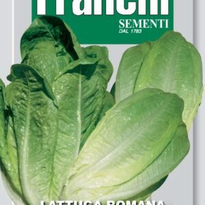 Lettuce Romana Bionda | Blond-Green Romaine