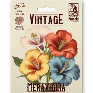 Bella di Notte Multicolor Vintage 1928 Flower Seeds Franchi Seeds