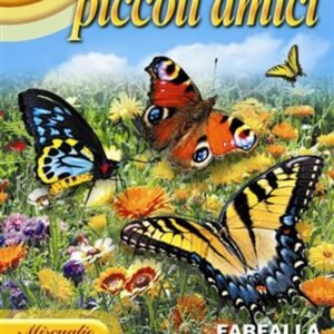 Butterfly Flower Mix Seeds | Colourful Annual Blend