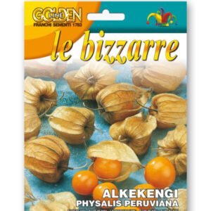Cape Gooseberry Seeds | Physalis peruviana