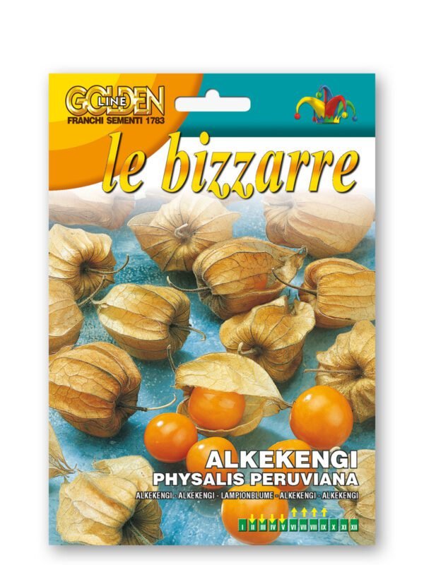 Cape Gooseberry Seeds | Physalis peruviana