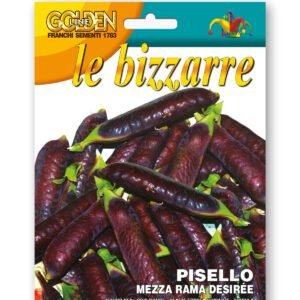 Desiree PurplePodded Pea Seeds | Early HalfTall Variety