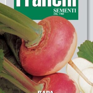 Purple Top Milan Turnip Seeds | Early Italian Heirloom