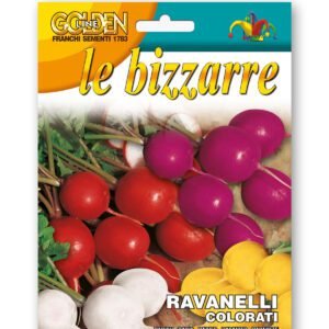 Mixed Colour Radish Seeds | Red, Yellow, White & Purple