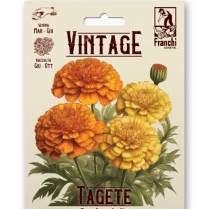 Tagete Gigante a Fiore Pieno Multicolor Vintage 1928 Flower Seeds Franchi Seeds