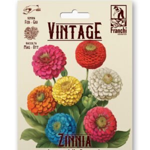 Zinnia Pompon Nana Multicolor Vintage 1928 Flower Seeds Franchi Seeds