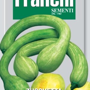 Zucchetta Tromba dAlbenga Seeds | Italian Heirloom Climbing Squash