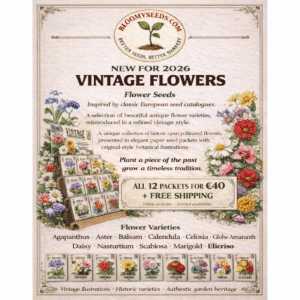 Vintage Flowers Bundle 12 Heirloom Flower Seeds Ireland